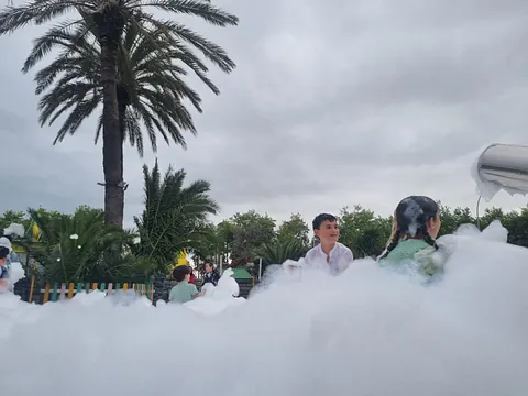 celebración